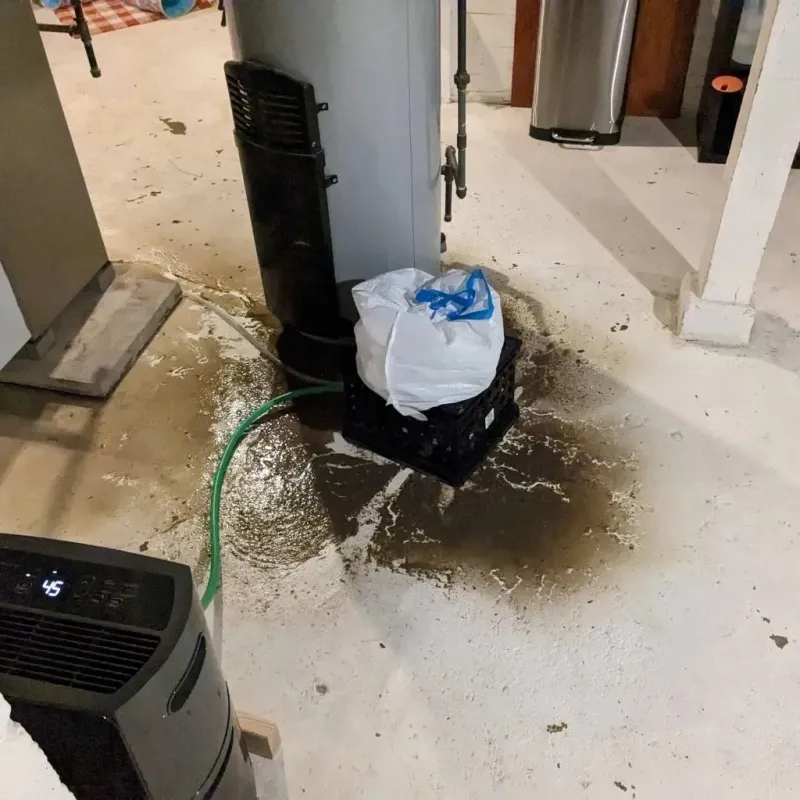 Sewage Backup Cleanup Service in Meadowbrook, AL